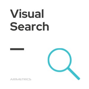 visual search