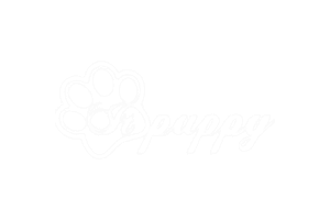 Google Ads de servicios y productos para mascotas
