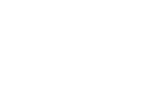 Gestión SEM ecommerce