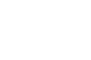 Estrategia Digital Internacional Logística