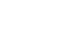 proyectos seo