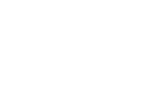 Marketing digital concesionarios